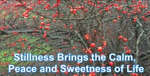 be inspired by the Divine with in stillness