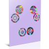 Miracle Grids Passion Products Healing Talisman Enneagram Reform and make change let go of perfection Product